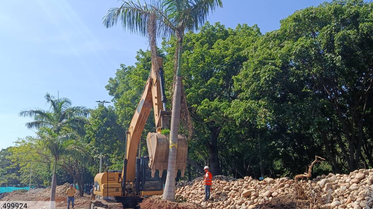 Manejo forestal en obra